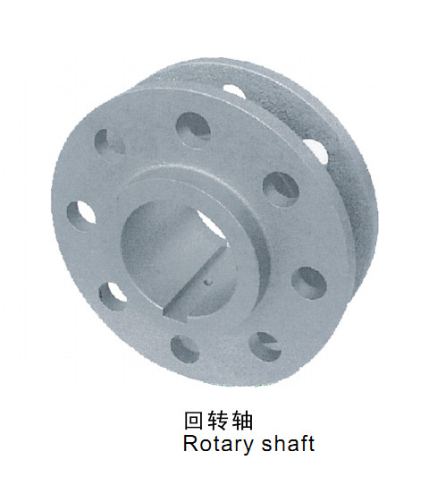 D(zhun)S